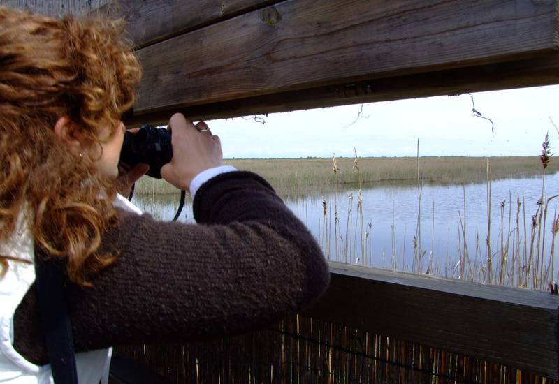 Birdwatching Bibione